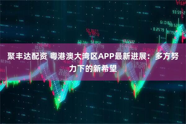 聚丰达配资 粤港澳大湾区APP最新进展：多方努力下的新希望